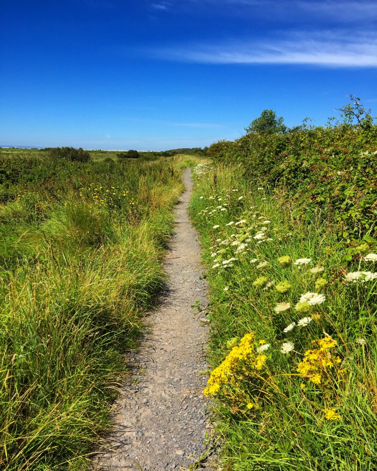 Path through the nature reserve at Uphill in Somerset with summer wild flowers by French travel guide book author Neal Atherton