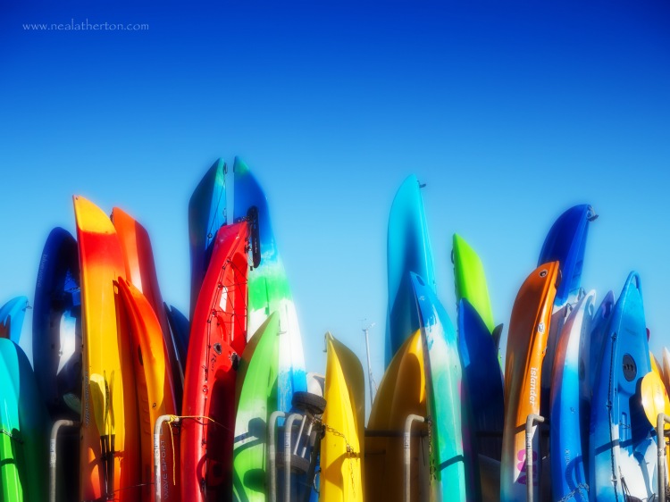 Alt="Colourful surfboards in Lyme Regis Harbour"